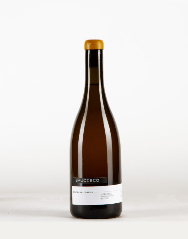 Brucisco Umbria Bianco, Cantina Marco Merli